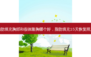 脂肪填充胸部和假体隆胸哪个好，脂肪填充15天恢复照片