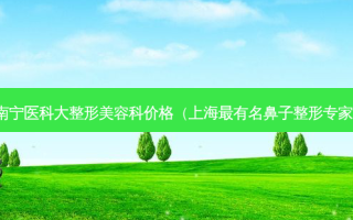 南宁医科大整形美容科价格（上海有名鼻子整形专家）