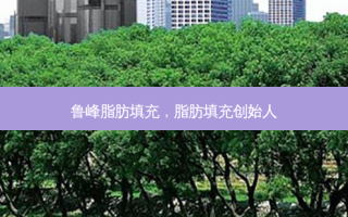 鲁峰脂肪填充，脂肪填充创始人