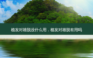 植发对雄脱没什么用，植发对雄脱有用吗