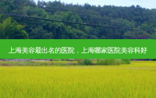 上海美容出名的医院，上海哪家医院美容科好