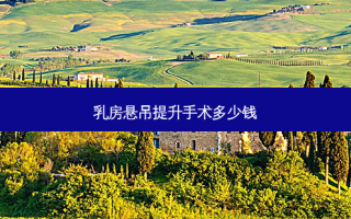  *** 悬吊提升手术多少钱