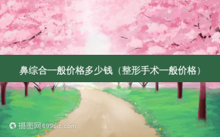 鼻综合一般价格多少钱（整形手术一般价格）
