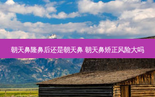 朝天鼻隆鼻后还是朝天鼻 朝天鼻矫正风险大吗