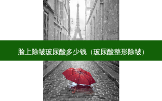 脸上除皱玻尿酸多少钱（玻尿酸整形除皱）