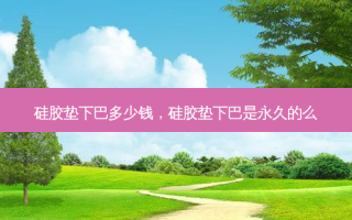 硅胶垫下巴多少钱，硅胶垫下巴是永久的么