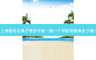 上海有名鼻子整形专家（做一个耳软骨隆鼻多少钱）