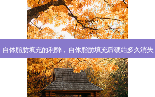 自体脂肪填充的利弊，自体脂肪填充后硬结多久消失