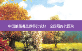 中国抽脂哪里做得比较好，全国 *** 的医院