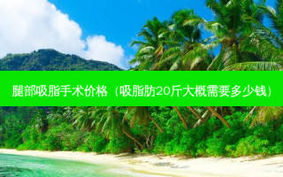 腿部吸脂手术价格（吸脂肪20斤大概需要多少钱）