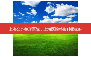 上海公办整形医院，上海医院整形科哪家好