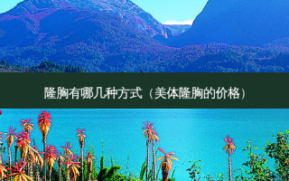 隆胸有哪几种方式（美体隆胸的价格）
