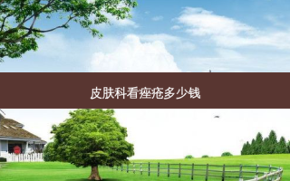皮肤科看痤疮多少钱