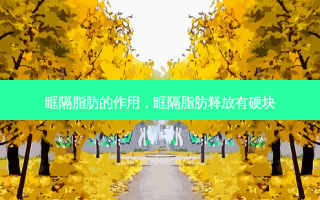 眶隔脂肪的作用，眶隔脂肪释放有硬块
