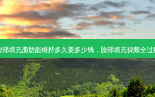 脸部填充脂肪能维持多久要多少钱，脸部填充视频全过程