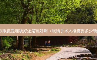 双眼皮是埋线好还是割好啊（眼睛手术大概需要多少钱）