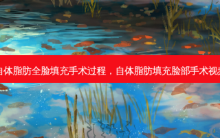 自体脂肪全脸填充手术过程，自体脂肪填充脸部手术视频