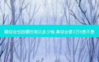 眼综合包括哪些项目多少钱 鼻综合要3万8贵不贵