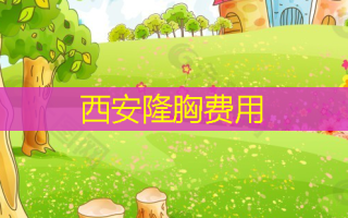 西安隆胸费用