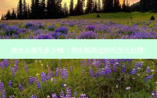 激光去脸毛多少钱（男生脸两边的毛怎么处理）
