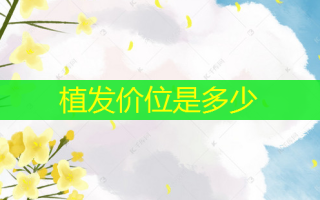 植发价位是多少