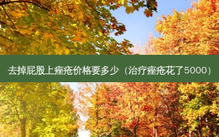 去掉 *** 上痤疮价格要多少（痤疮花了5000）
