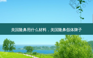 美国隆鼻用什么材料，美国隆鼻假体牌子