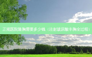 正规医院隆胸需要多少钱（注射玻尿酸丰胸全过程）