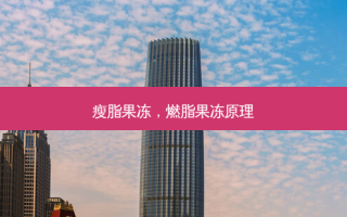 瘦脂果冻，燃脂果冻原理