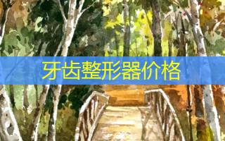 牙齿整形器价格