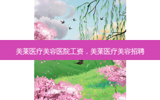 美莱医疗美容医院工资，美莱医疗美容招聘