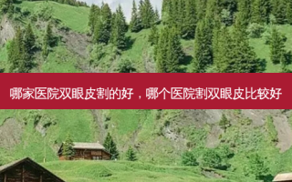 哪家医院双眼皮割的好，哪个医院割双眼皮比较好