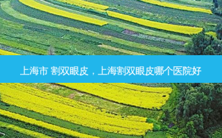 上海市 割双眼皮，上海割双眼皮哪个医院好