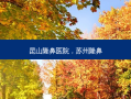 昆山隆鼻医院，苏州隆鼻