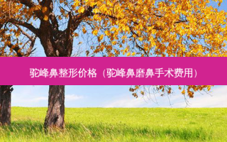 驼峰鼻整形价格（驼峰鼻磨鼻手术费用）