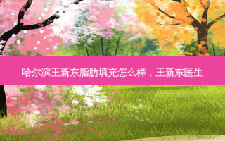 哈尔滨王新东脂肪填充怎么样，王新东医生