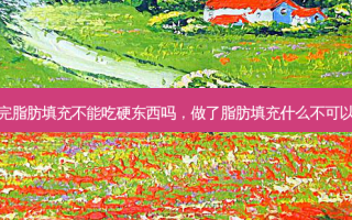 做完脂肪填充不能吃硬东西吗，做了脂肪填充什么不可以吃