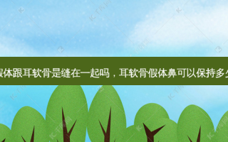 鼻假体跟耳软骨是缝在一起吗，耳软骨假体鼻可以保持多少年
