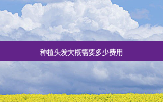 种植头发大概需要多少费用