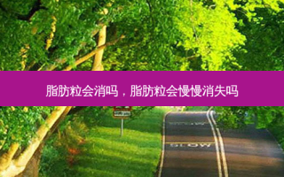 脂肪粒会消吗，脂肪粒会慢慢消失吗