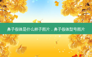 鼻子假体是什么样子图片，鼻子假体型号图片