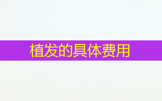 植发的具体费用