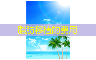 脂肪移植的费用