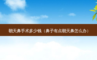 朝天鼻手术多少钱（鼻子有点朝天鼻怎么办）