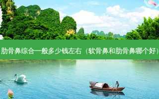 肋骨鼻综合一般多少钱左右（软骨鼻和肋骨鼻哪个好）