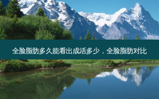 全脸脂肪多久能看出成活多少，全脸脂肪对比