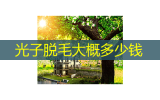 光子脱毛大概多少钱