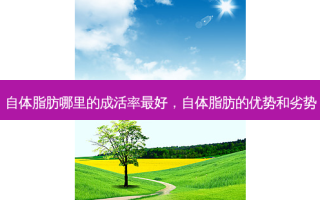 自体脂肪哪里的成活率好，自体脂肪的优势和劣势