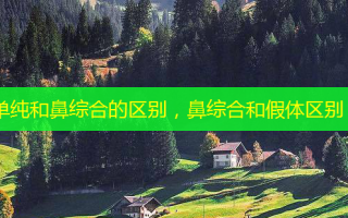 单纯和鼻综合的区别，鼻综合和假体区别