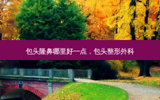 包头隆鼻哪里好一点，包头整形外科
